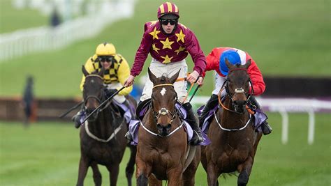 cheltenham racecards